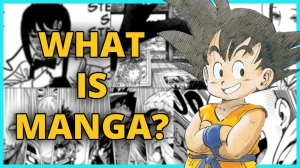 What Is Manga?